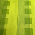 Papiers � la t�r�bentine